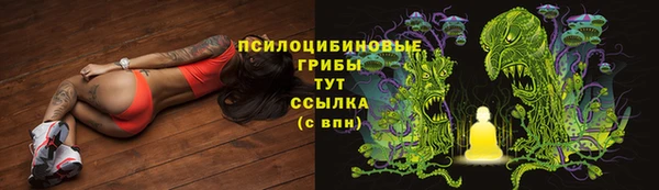 не бодяженный Чекалин