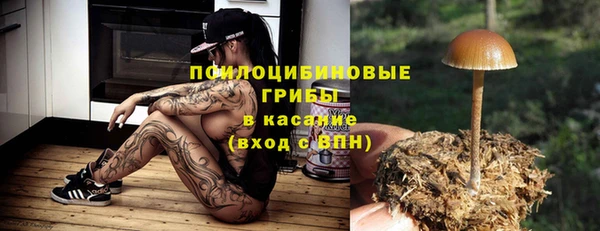 а пвп мука Чегем