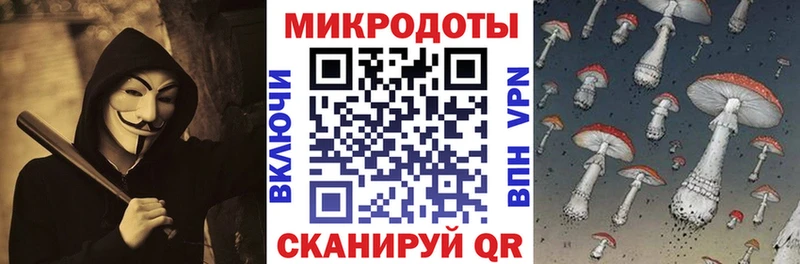 закладка  Калининец  mega   Галлюциногенные грибы MAGIC MUSHROOMS 